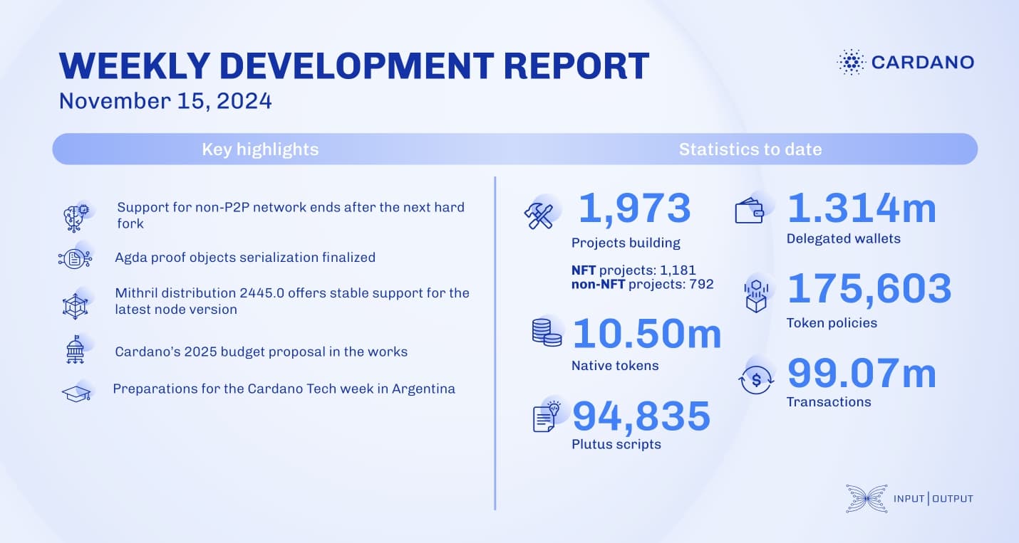 Weekly development report as of 2024-11-15