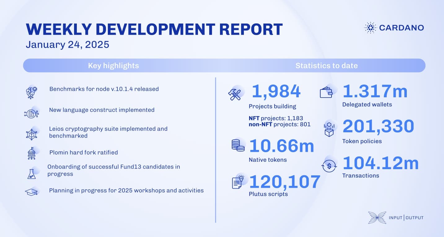 Weekly development report as of 2025-01-24