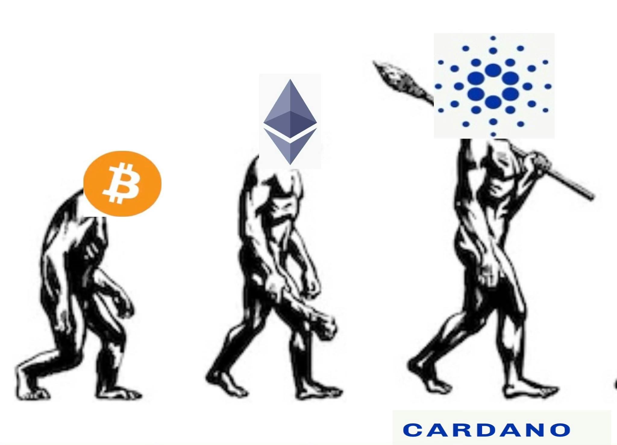 Crypto Evolution 